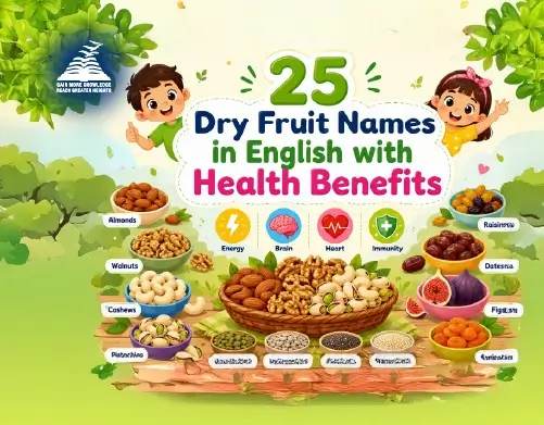 List of 25 Dry Fruits for Good Health-Presidency School Banashankari